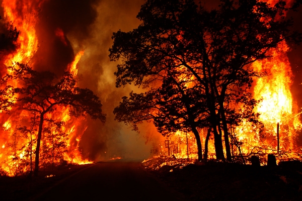 ۲۰ هکتار مراتع کنگان در آتش سوخت