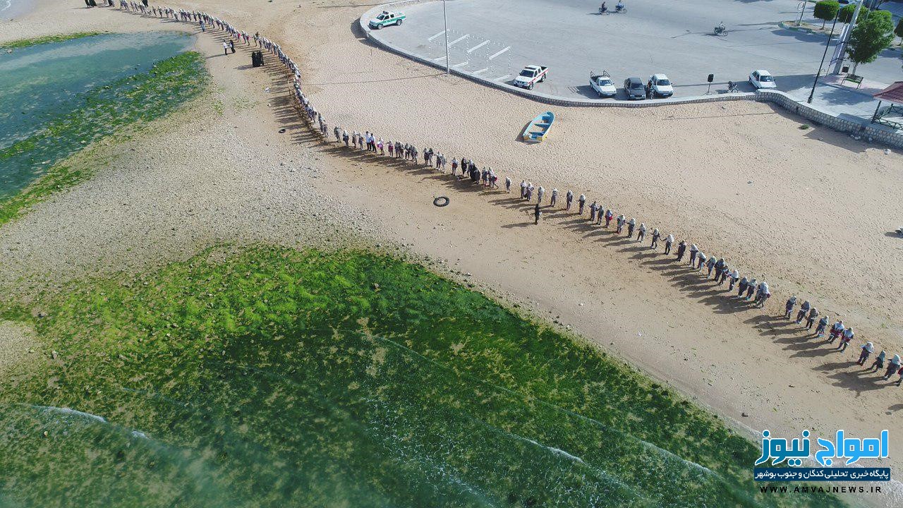 تصاویر هوایی از زنجیره انسانی کنگان به مناسبت روز  ملی خلیج فارس