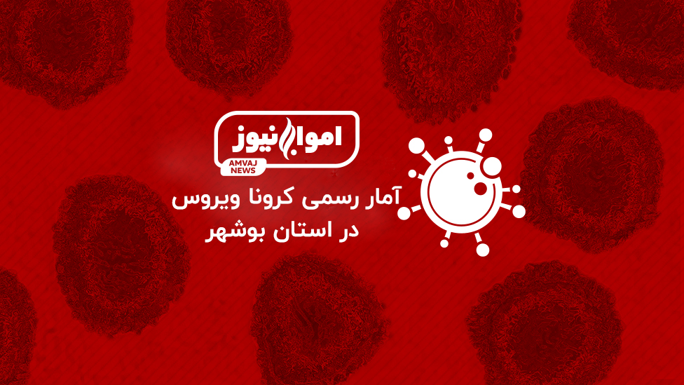 تایید ۷۹ مورد جدید در استان بوشهر / ۶ مورد در کنگان