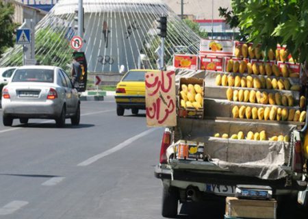 دستفروشی در حاشیه راه های بوشهر ممنوع است
